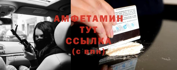 прущие грибы Карпинск