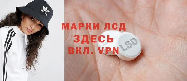 прущие грибы Карпинск