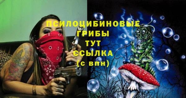 хмурый Киреевск