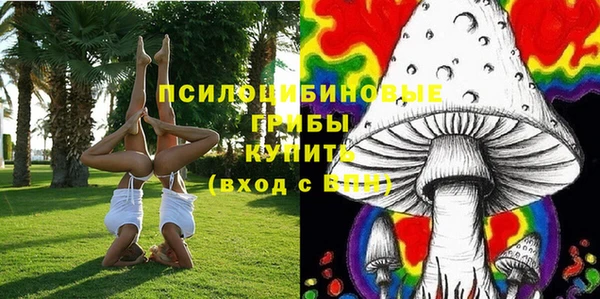 хмурый Киреевск