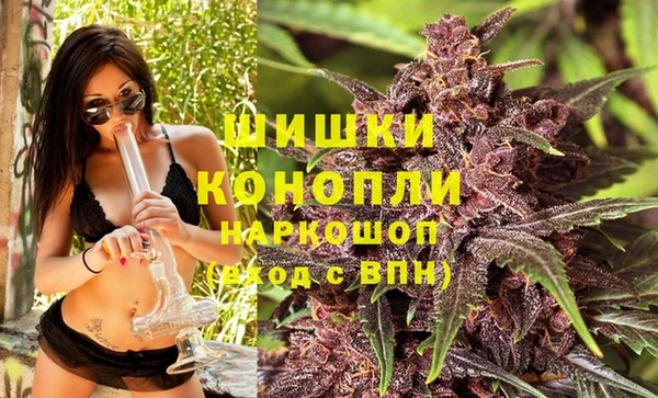прущие грибы Карпинск